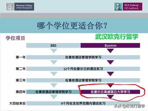 愛爾蘭香儂酒店管理學院與國立高威大學酒店管理專業申請詳解
